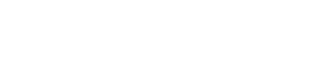 Risk Investigators logo